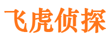 太平外遇调查取证